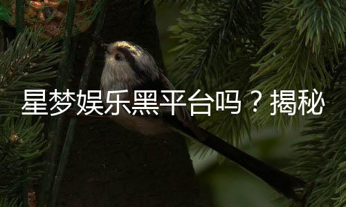 星梦娱乐黑平台吗?揭秘其真伪与玩家真实体验
