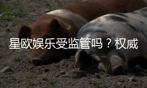 星欧娱乐受监管吗?权威解析其合法性与监管现状