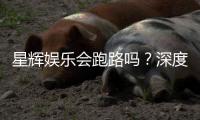 星辉娱乐会跑路吗？深度解析平台资质与玩家资金安全