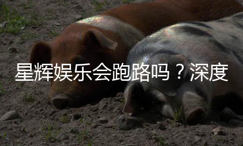 星辉娱乐会跑路吗?深度解析平台资质与玩家资金安全