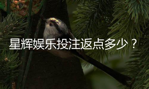 星辉娱乐投注返点多少?揭秘高返水平台独家福利