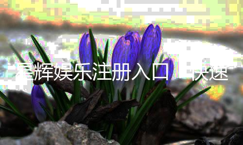 星辉娱乐注册入口:快速获取官方最新游戏通道指南