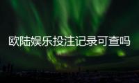 欧陆娱乐投注记录可查吗?一文详解查询方法与平台安全性