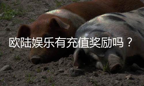 欧陆娱乐有充值奖励吗?揭秘最新充值优惠与福利详情