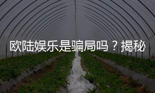 欧陆娱乐是骗局吗?揭秘其真实性与玩家体验