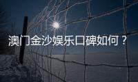 澳门金沙娱乐口碑如何?玩家真实评价与体验分享