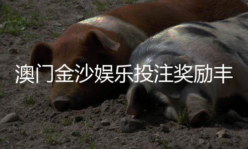 澳门金沙娱乐投注奖励丰厚吗？深度解析高额返水与独家彩金活动