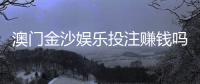 澳门金沙娱乐投注赚钱吗?揭秘高胜率玩家的盈利技巧与风险控制
