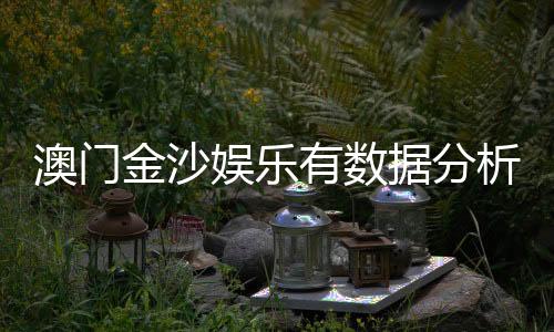 澳门金沙娱乐有数据分析吗?揭秘其数据统计与玩家胜率解析