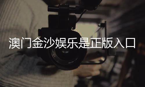 澳门金沙娱乐是正版入口吗?揭秘官网安全性与游戏体验