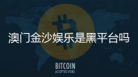 澳门金沙娱乐是黑平台吗？深度解析其安全性及玩家真实评价