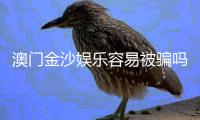 澳门金沙娱乐容易被骗吗？揭秘常见骗局与防骗技巧