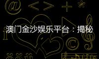 澳门金沙娱乐平台:揭秘高端玩家的制胜策略与独家优惠