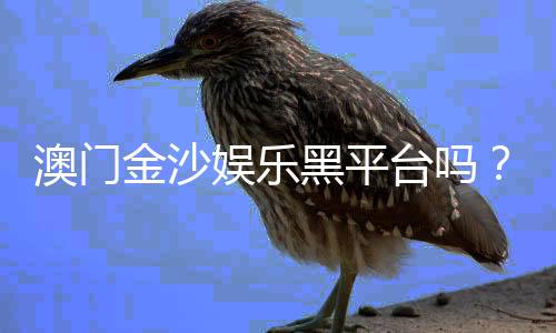 澳门金沙娱乐黑平台吗?揭秘其真伪与玩家安全攻略