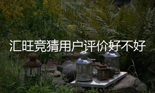 汇旺竞猜用户评价好不好?真实玩家体验分享与深度解析