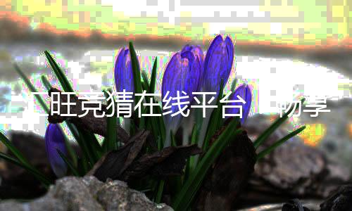 汇旺竞猜在线平台:畅享安全可靠的竞猜娱乐体验