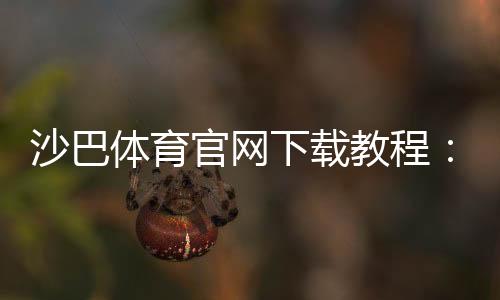 沙巴体育官网下载教程:官方最新版安卓苹果安装与注册全攻略