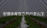 安博体育官方开户怎么注册?官方开户流程、认证步骤与新手注意事项