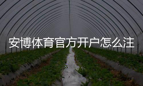 安博体育官方开户怎么注册?官方开户流程、认证步骤与新手注意事项