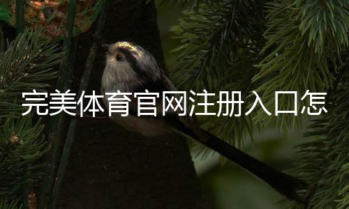 完美体育官网注册入口怎么进入?新手注册步骤、实名认证与常见问题详解