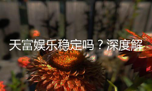 天富娱乐稳定吗?深度解析平台安全性与玩家真实体验