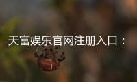 天富娱乐官网注册入口:轻松三步完成账号注册畅享游戏盛宴
