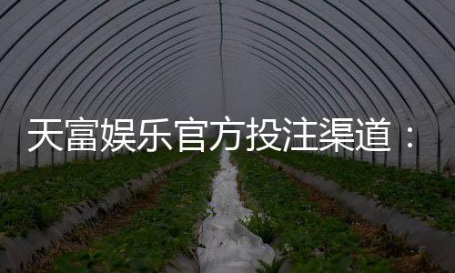 天富娱乐官方投注渠道:安全稳定的真人娱乐首选平台
