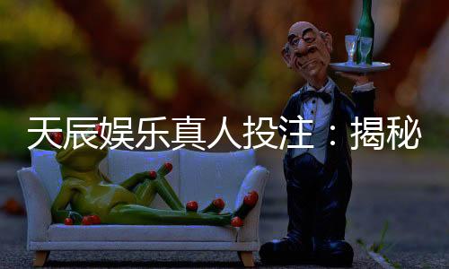 天辰娱乐真人投注:揭秘高胜率玩家的实战技巧与心得