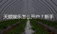 天顺娱乐怎么开户?新手快速注册指南