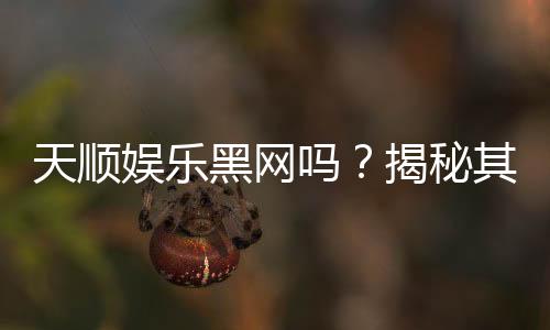 天顺娱乐黑网吗?揭秘其真伪与玩家安全指南