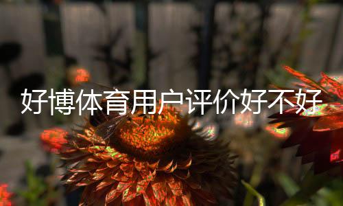 好博体育用户评价好不好？真实口碑、优缺点与使用体验全解析
