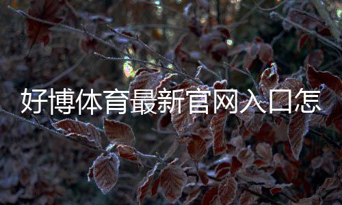 好博体育最新官网入口怎么进?官方最新地址、快速登录与安全访问指南