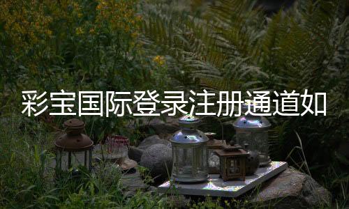 彩宝国际登录注册通道如何快速入门?