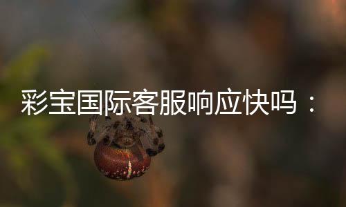彩宝国际客服响应快吗:专业分析与真实体验