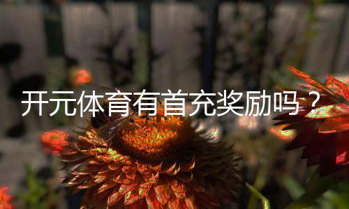 开元体育有首充奖励吗?新人注册充值福利详解