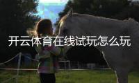 开云体育在线试玩怎么玩?新手免费体验步骤、玩法技巧与注意事项详解