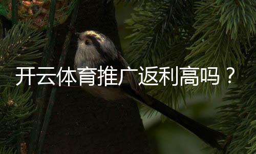 开云体育推广返利高吗?真实测评、返利规则与收益计算攻略