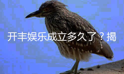 开丰娱乐成立多久了?揭秘其发展历程与品牌实力