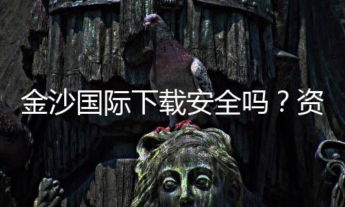 金沙国际下载安全吗?资深玩家解析平台可靠性与风险防范
