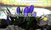 金沙国际投注规则复杂吗?资深玩家解析玩法与技巧