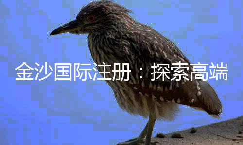 金沙国际注册:探索高端娱乐场的奢华体验与赢利秘籍
