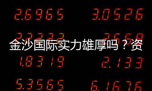 金沙国际实力雄厚吗?资深玩家深度解析其真实背景与优势