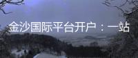 金沙国际平台开户:一站式娱乐投注体验与开户指南