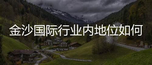 金沙国际行业内地位如何?揭秘其亚洲博彩巨头的崛起之路