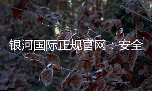 银河国际正规官网:安全可靠的在线娱乐平台首选