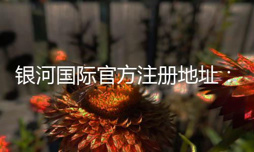 银河国际官方注册地址:轻松获取官网入口与最新优惠活动