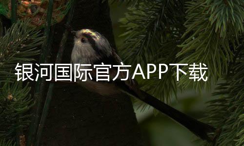 银河国际官方APP下载:畅享顶级棋牌与电子游艺的豪华体验