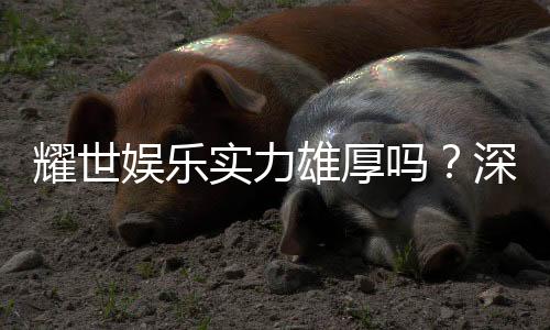 耀世娱乐实力雄厚吗?深度解析其平台优势与玩家真实评价