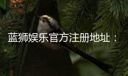 蓝狮娱乐官方注册地址:快速获取安全可靠的游戏入口指南