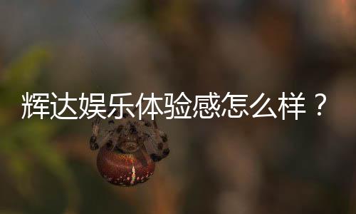 辉达娱乐体验感怎么样?资深玩家分享真实评测与心得